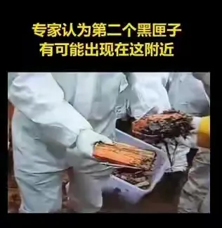 色碎片经鉴定不是第2个黑匣子