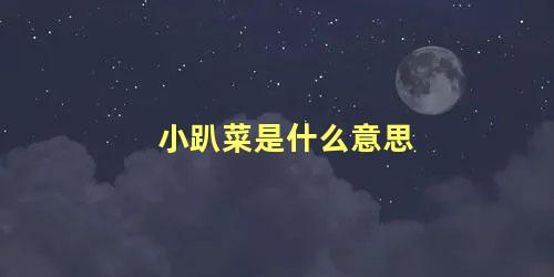 小趴菜是什么意思