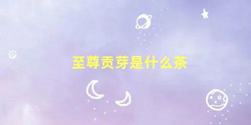 至尊贡芽是什么茶