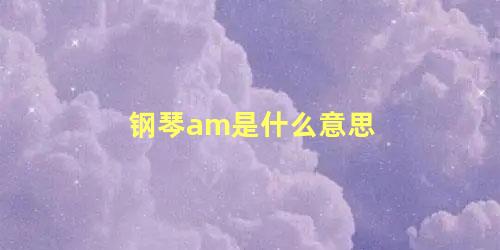 钢琴am是什么意思