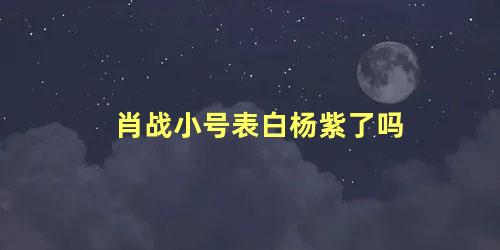 肖战小号表白杨紫了吗