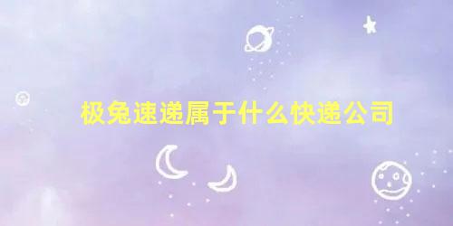 极兔速递属于什么快递公司