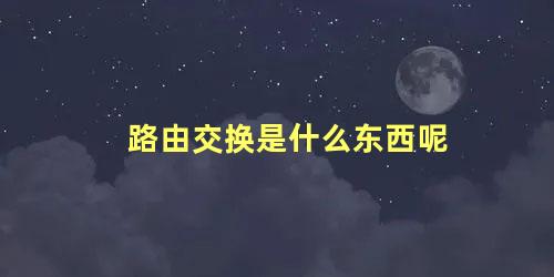 路由交换是什么东西呢