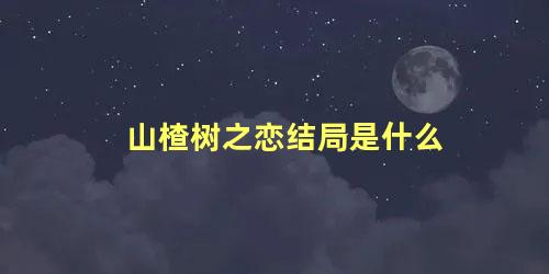 山楂树之恋结局是什么