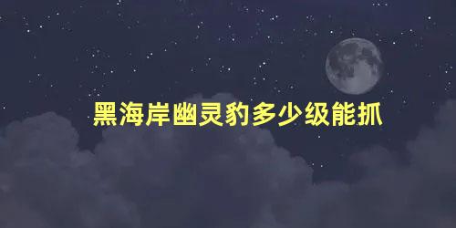 黑海岸幽灵豹多少级能抓