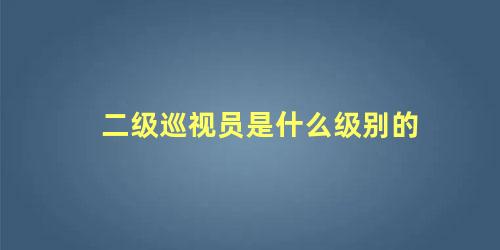 二级巡视员是什么级别的