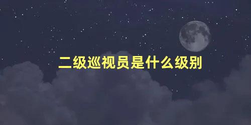 二级巡视员是什么级别