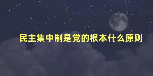 民主集中制是党的根本什么原则