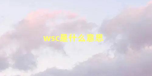 wsc是什么意思