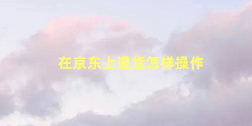 在京东上退货怎样操作