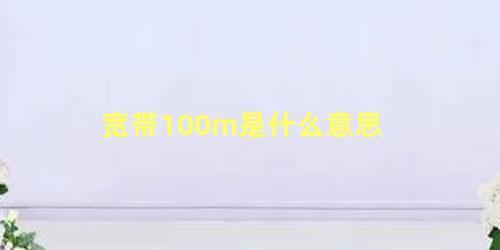 宽带100m是什么意思