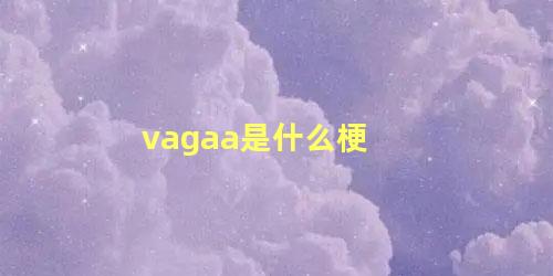 vagaa是什么梗