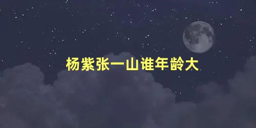 杨紫张一山谁年龄大