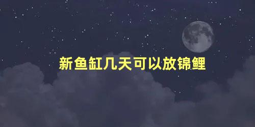 新鱼缸几天可以放锦鲤