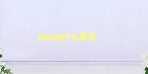 bking什么意思