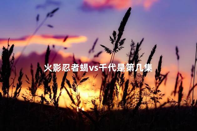 火影忍者蝎vs千代是第几集