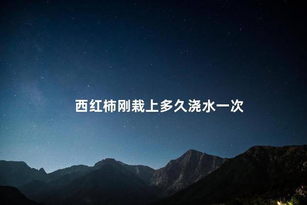 西红柿刚栽上多久浇水一次