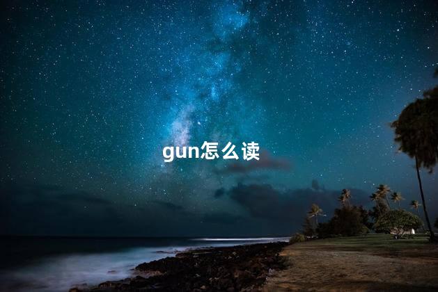 gun怎么读