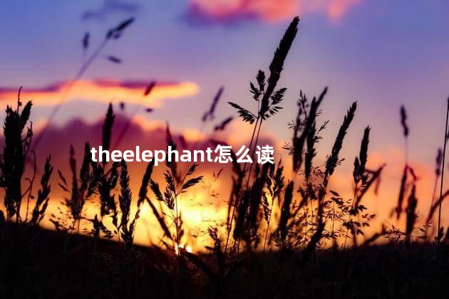 theelephant怎么读