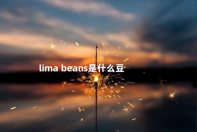 lima beans是什么豆