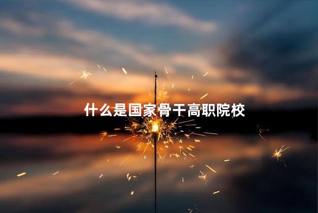 什么是国家骨干高职院校