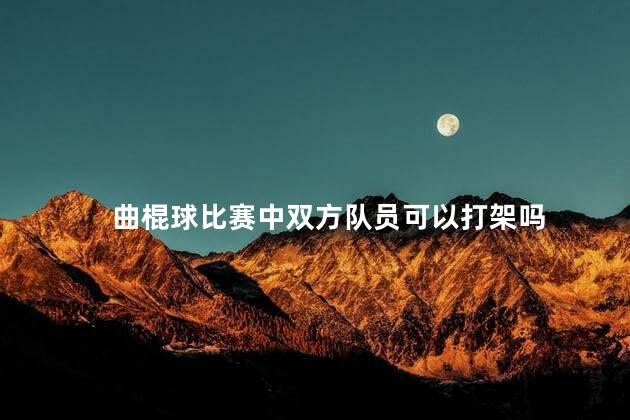 曲棍球比赛中双方队员可以打架吗