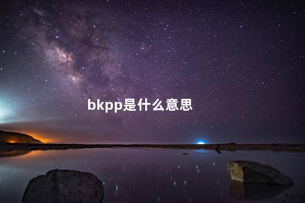 bkpp是什么意思 