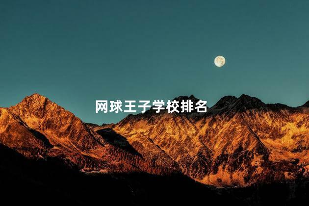 网球王子学校排名 