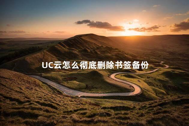 UC云怎么彻底删除书签备份