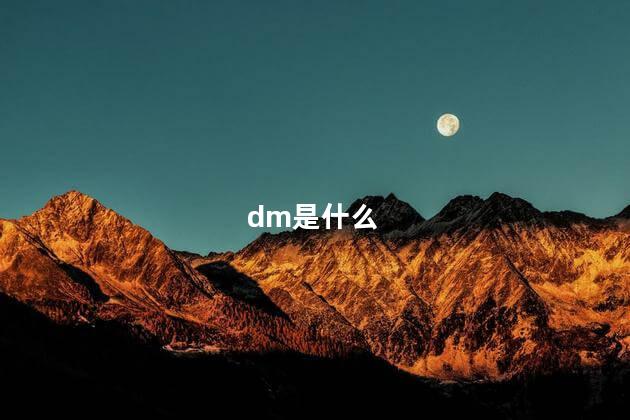 dm是什么单位 