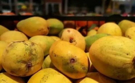 「健康」吃芒果为啥会过敏？这6类人别吃芒果