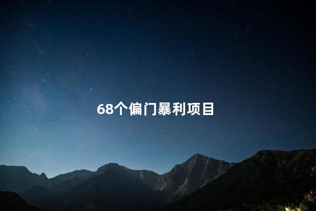 68个偏门暴利项目