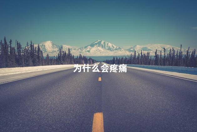 为什么会疼痛