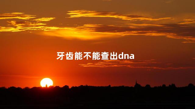 牙齿能不能查出dna