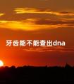 牙齿能不能查出dna 牙齿里有dna信息吗