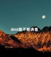 dmt能不能诱鱼 dmpt野钓怎么样