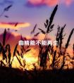 曲精能不能再生 azf曲细精管萎缩