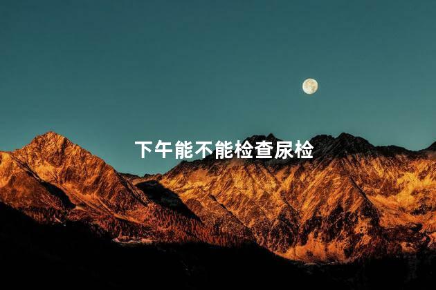 下午能不能检查尿检