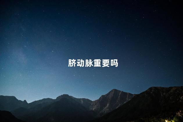 脐动脉重要吗