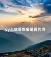 yy上斌哥珠宝是真的吗 斌哥珠宝是什么公司