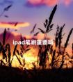 ipad笔刷重要吗 procreate毛笔笔刷设置