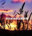 肺结核碗筷还能要吗