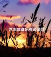 汽车放音乐有必要吗 停车放音乐对车有损害么