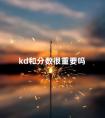 kd和分数很重要吗 kd比是什么意思