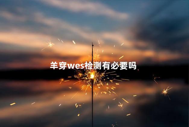 羊穿wes检测有必要吗