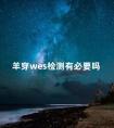 羊穿wes检测有必要吗 wes是检查胎儿的基因