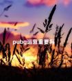 pubg运营重要吗 运营好做吗