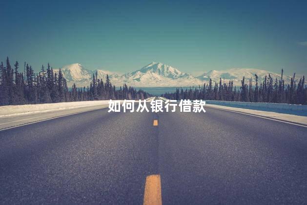 如何从银行借款