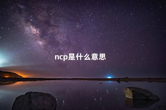 ncp是什么意思