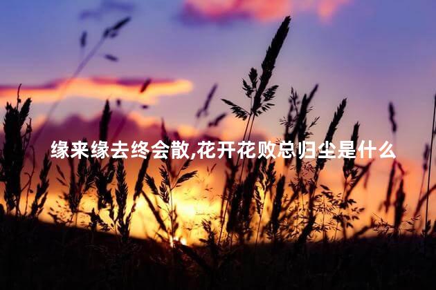 缘来缘去终会散,花开花败总归尘是什么意思